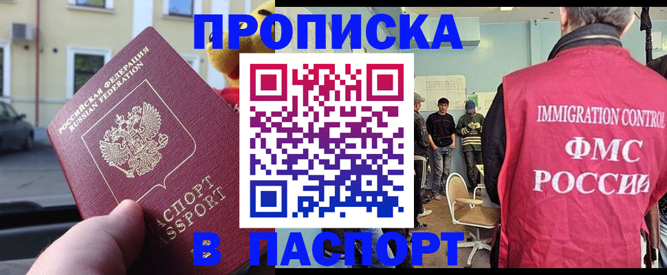 временная регистрация поиск в Владимирской области